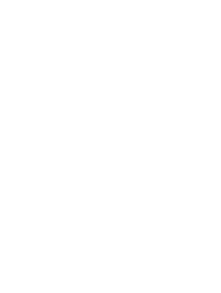 Logo of the band Felsenmirror